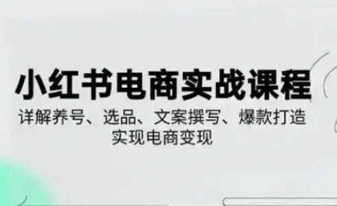 小红书从0-1实操课(2023-2025)，详解养号、选品、文案撰写、爆款打造实现电商变现-易度轻创站