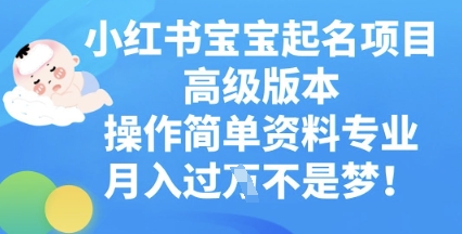 小红书宝宝起名项目高级版本，操作简单，资料专业，月入过W-易度轻创站