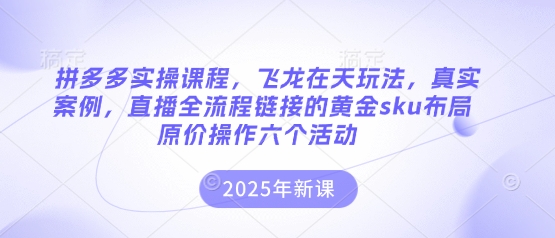 拼多多实操课程，飞龙在天玩法，真实案例，直播全流程链接的黄金sku布局原价操作六个活动-易度轻创站