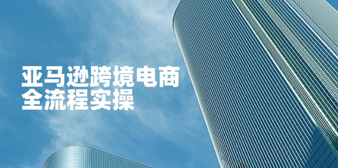 （14252期）亚马逊跨境电商全流程实操，教你从零开始，掌握店铺运营与广告技巧-易度轻创站