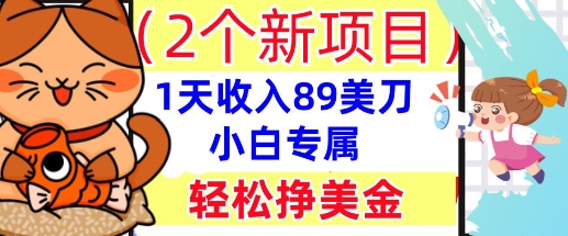 2个新项目，轻松挣美金， 1天收入89美刀，小白专属，干货分享-易度轻创站