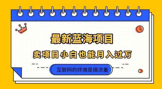 （14289期）2025年最新蓝海项目，卖项目小白也能月入过万-易度轻创站