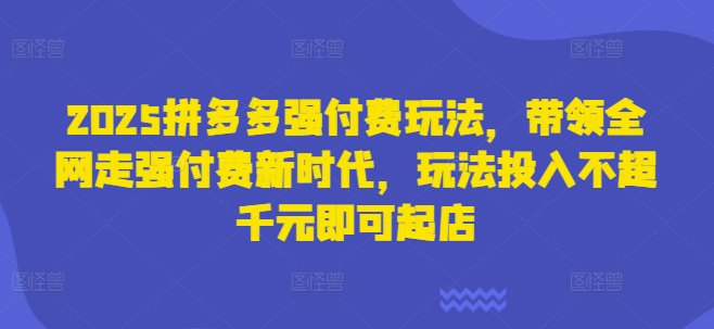 2025拼多多强付费玩法，带领全网走强付费新时代，玩法投入不超千元即可起店-易度轻创站
