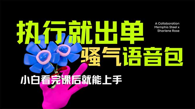 （14170期）爆火全网的开车导航骚气语音包,只要执行就出单，小白看完课程就能实操...-易度轻创站