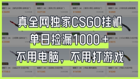 真全网独家CSGO挂G，单日捡漏1k+【揭秘】-易度轻创站