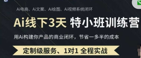 AI实操培训第20-21期线下，0基础保姆级教程，3月最新整理，企业获客、降本增效、打造超级个体-易度轻创站