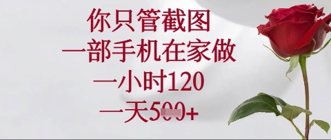 你只管截图，一部手机在家操作，一小时120.一天5张【揭秘】-易度轻创站